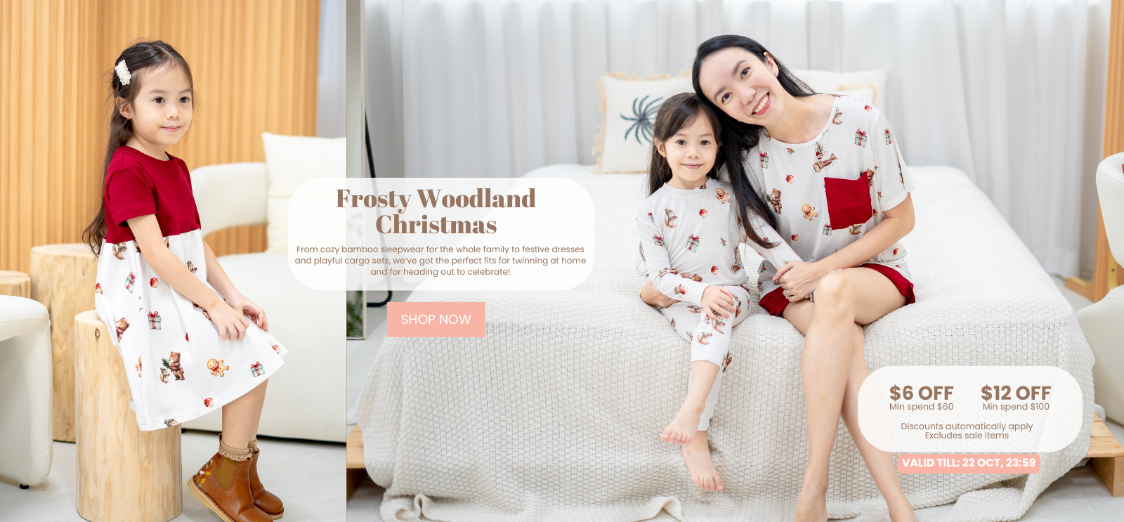 Frosty Woodland Christmas Promo