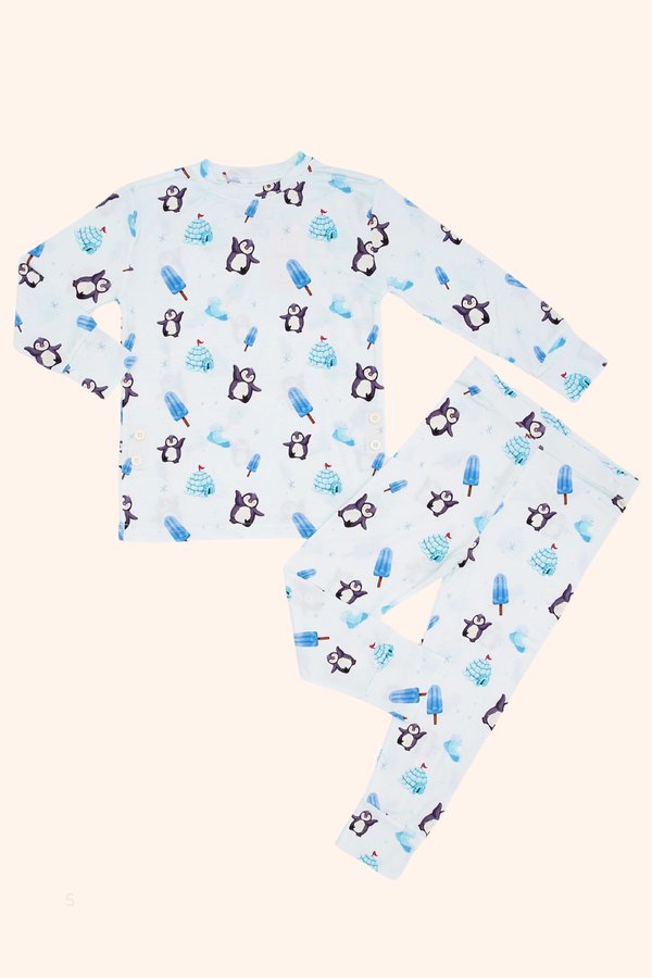 Penguin Playground Bamboo Long Sleeve 2 Piece Set +