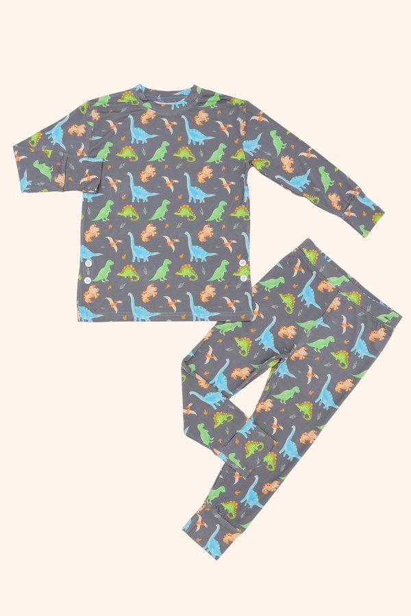 Watercolour Dinosaurs Bamboo Long Sleeve 2 Piece Set +