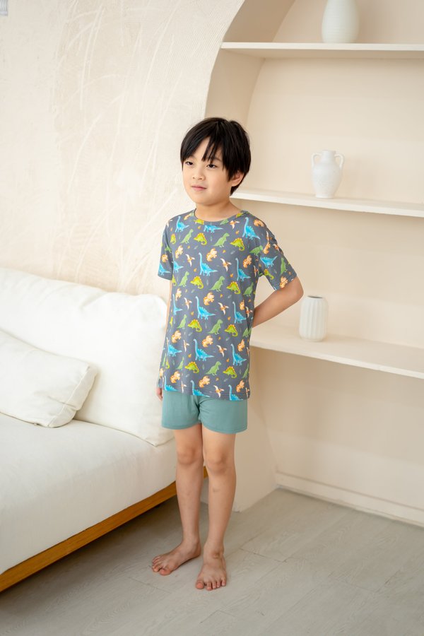 Watercolour Dinosaurs Bamboo Tee & Shorts Set