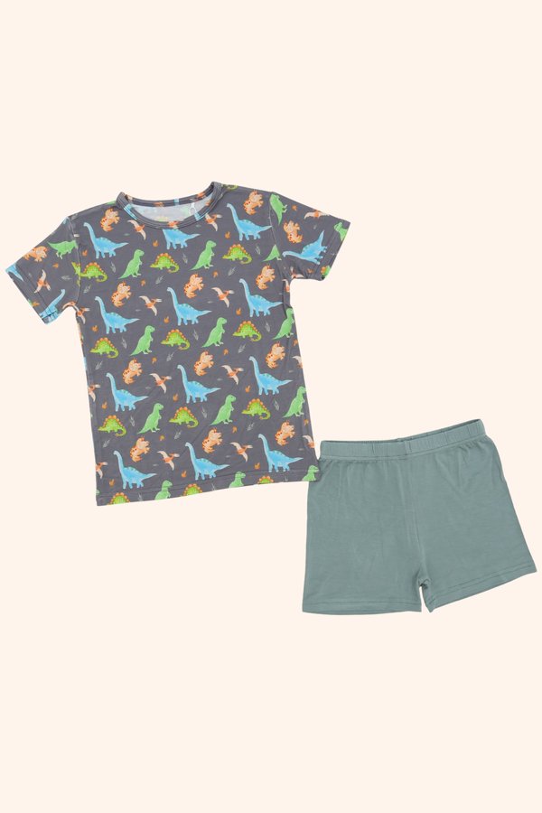 Watercolour Dinosaurs Bamboo Tee & Shorts Set
