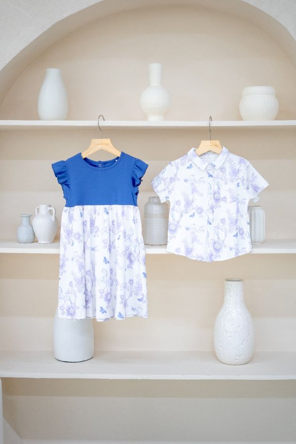 Spring In Stride Toile Flutter Sleeves Dress in Blue