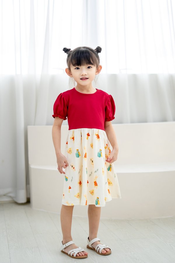 Whimsical Wonderland Puff Sleeves Dress