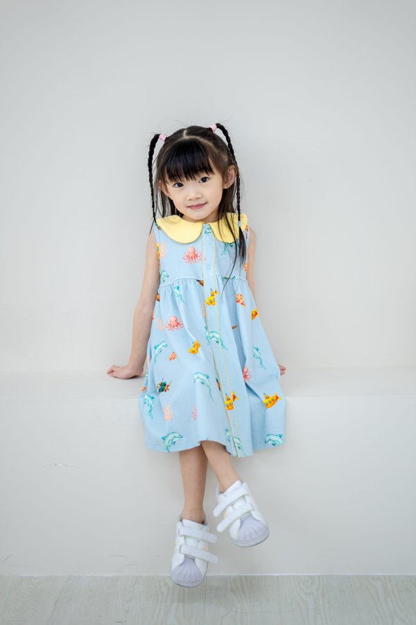 Ocean Daydreams Peter Pan Collar Dress