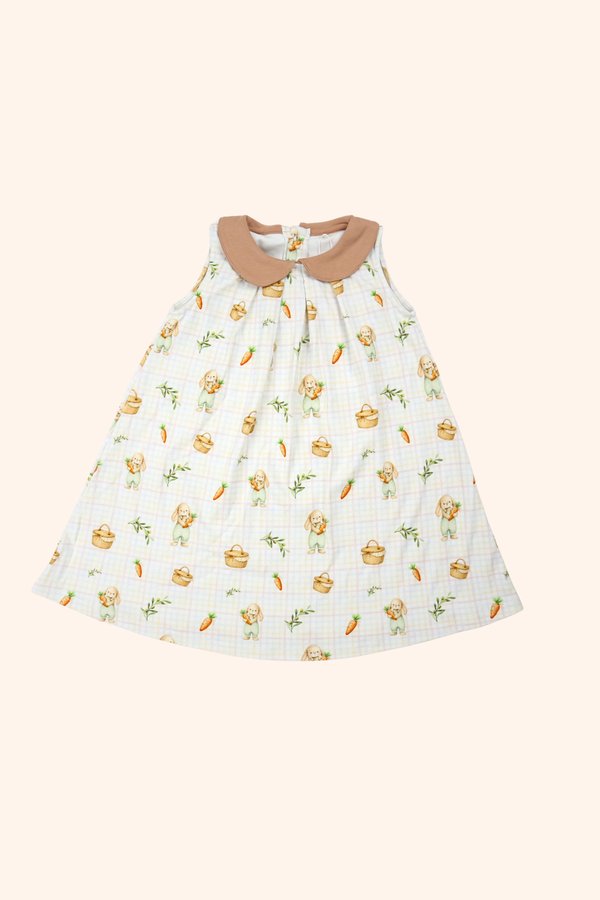 Cottage Bunnies Peter Pan Collar Pleated Dress