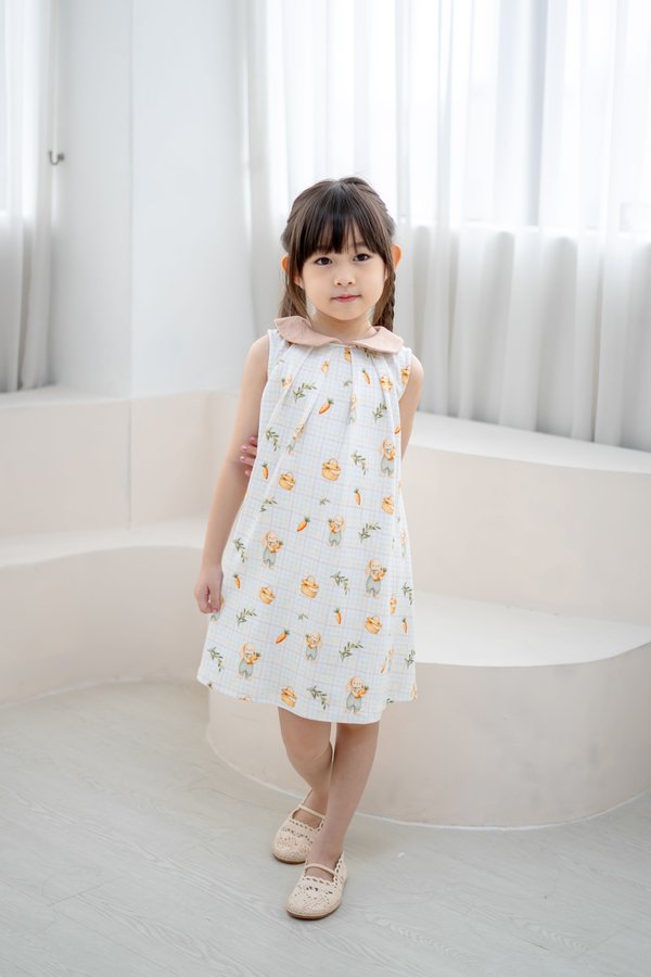 Cottage Bunnies Peter Pan Collar Pleated Dress