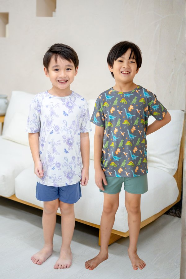 Dinosaurs & Blooms Bamboo Tee & Shorts Set Bundle (12M-18M)